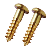 Brass Screws